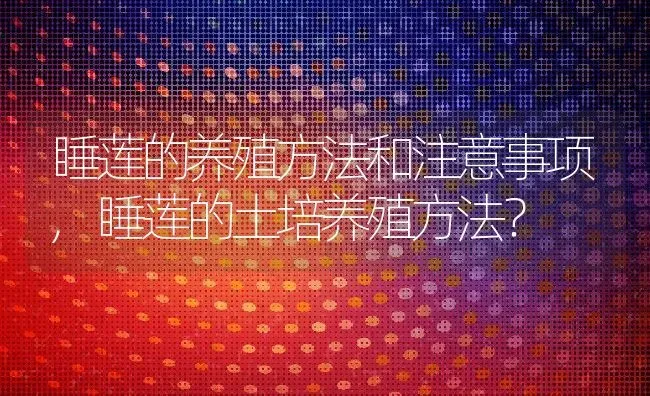 睡莲的养殖方法和注意事项,睡莲的土培养殖方法？ | 养殖常见问题