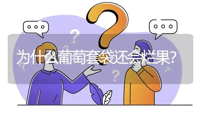 为什么葡萄套袋还会烂果? | 养殖问题解答