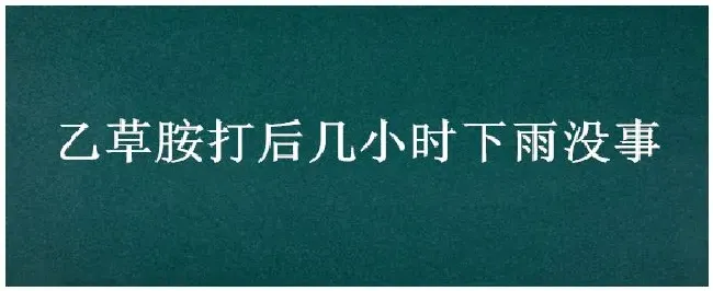 乙草胺打后几小时下雨没事 | 生活常识