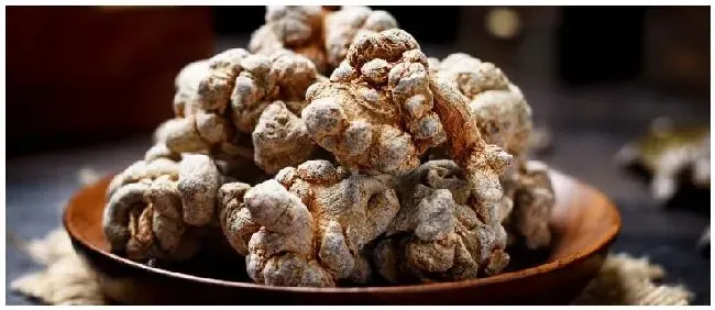 三七的种植环境 | 农业答疑