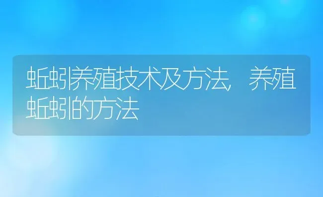 蚯蚓养殖技术及方法,养殖蚯蚓的方法 | 养殖常见问题