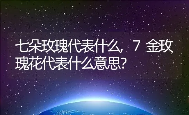 七朵玫瑰代表什么,7金玫瑰花代表什么意思？ | 养殖常见问题