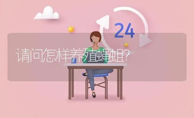 请问怎样养殖蝇蛆? | 养殖问题解答