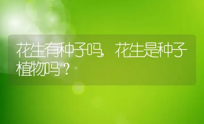 桂花有什么药用价值主要的用途和作用,桂花树上结的果子有什么用途吗？ | 养殖常见问题