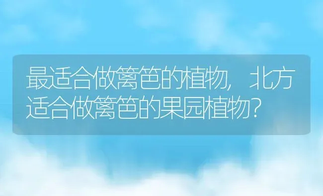 最适合做篱笆的植物,北方适合做篱笆的果园植物？ | 养殖常见问题