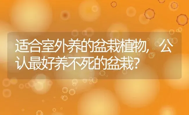 适合室外养的盆栽植物,公认最好养不死的盆栽？ | 养殖常见问题