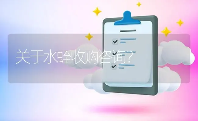 关于水蛭收购咨询? | 养殖问题解答