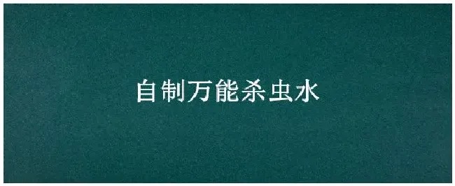 自制万能杀虫水 | 三农答疑