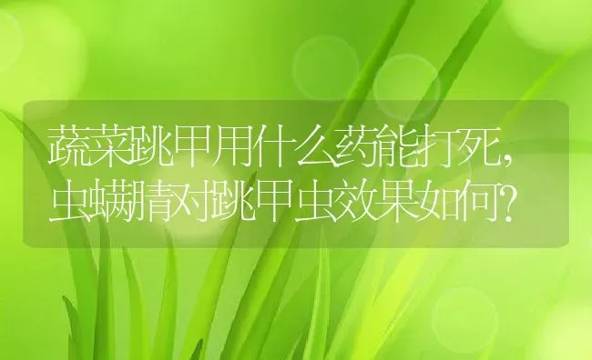 蔬菜跳甲用什么药能打死,虫螨腈对跳甲虫效果如何？ | 养殖常见问题