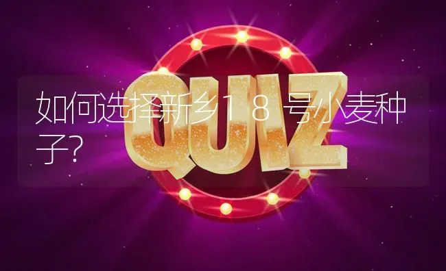 如何选择新乡18号小麦种子? | 养殖问题解答