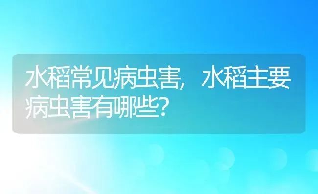 水稻常见病虫害,水稻主要病虫害有哪些？ | 养殖常见问题