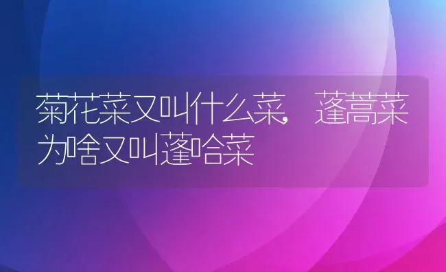 菊花菜又叫什么菜,蓬蒿菜为啥又叫蓬哈菜 | 养殖常见问题