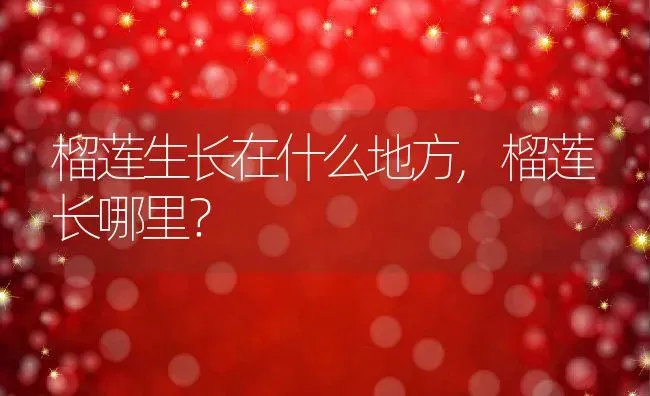 榴莲生长在什么地方,榴莲长哪里？ | 养殖常见问题