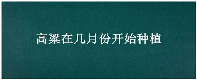 高粱在几月份开始种植 | 农业常识