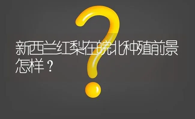 新西兰红梨在皖北种殖前景怎样? | 养殖问题解答