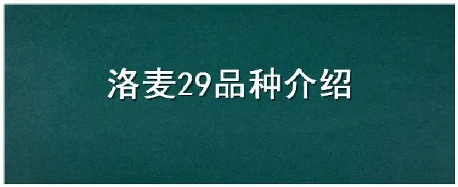 洛麦29品种介绍 | 生活常识