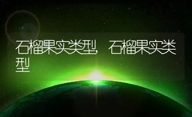 石榴果实类型,石榴果实类型 | 养殖常见问题