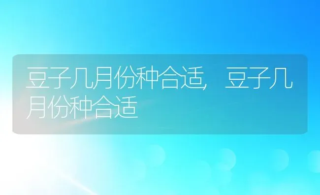 豆子几月份种合适,豆子几月份种合适 | 养殖常见问题