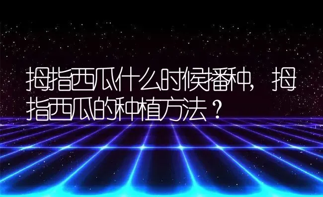 拇指西瓜什么时候播种,拇指西瓜的种植方法？ | 养殖常见问题