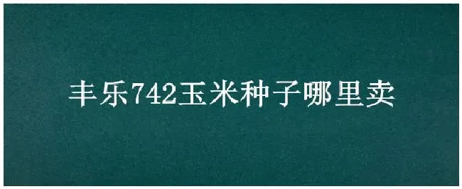 丰乐742玉米种子哪里卖 | 农业常识