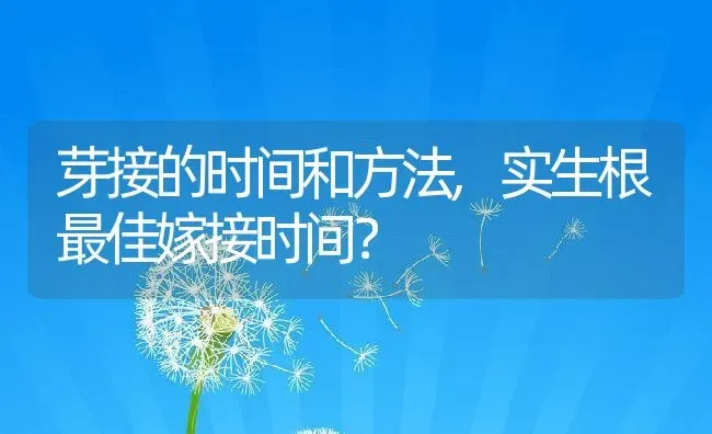 芽接的时间和方法,实生根最佳嫁接时间？ | 养殖常见问题