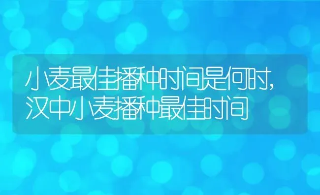 红绣球花有毒吗可以放在室内养吗,红绣球花有毒吗可以放在室内养吗 | 养殖常见问题