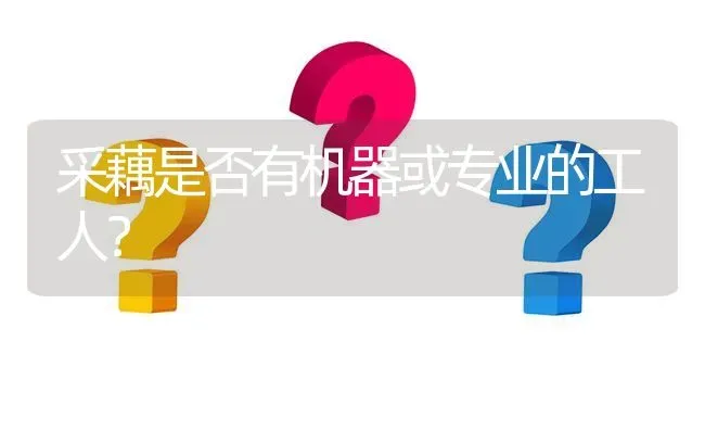 采藕是否有机器或专业的工人? | 养殖问题解答