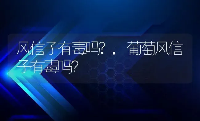 风信子有毒吗?,葡萄风信子有毒吗？ | 养殖常见问题