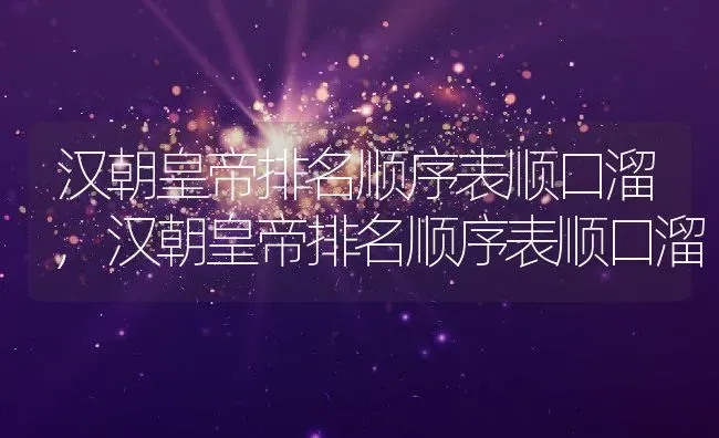 汉朝皇帝排名顺序表顺口溜,汉朝皇帝排名顺序表顺口溜 | 养殖常见问题