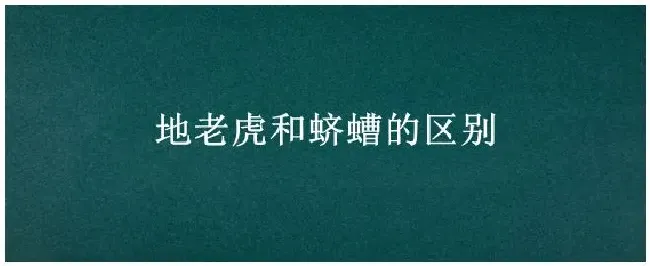 地老虎和蛴螬的区别 | 三农答疑