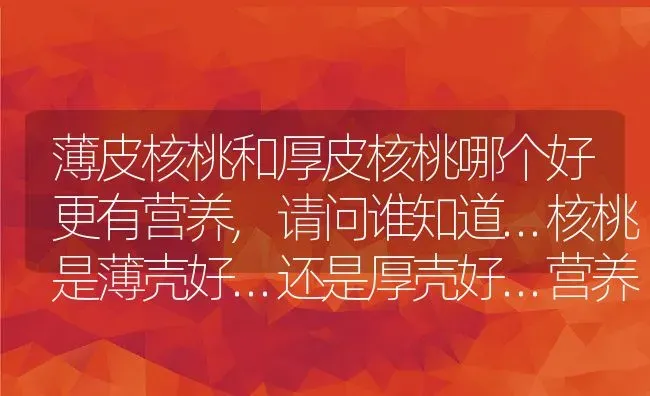 红雀珊瑚如何养殖,白雀珊瑚和红雀珊瑚哪个适合家养？ | 养殖常见问题