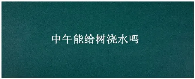 中午能给树浇水吗 | 农业问题