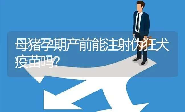 母猪孕期产前能注射伪狂犬疫苗吗? | 养殖问题解答