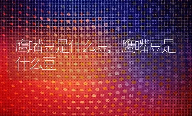 鹰嘴豆是什么豆,鹰嘴豆是什么豆 | 养殖常见问题