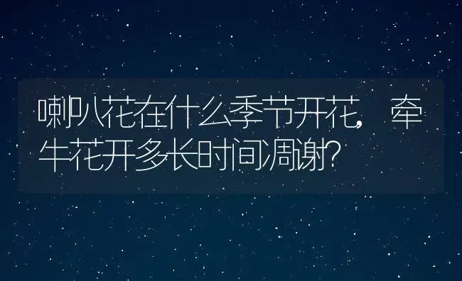 喇叭花在什么季节开花,牵牛花开多长时间凋谢？ | 养殖常见问题