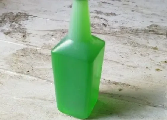 植物常识问题|水培富贵竹都补充什么类型的营养液