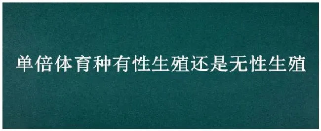 单倍体育种有性生殖还是无性生殖 | 科普知识