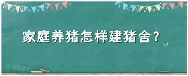 家庭养猪怎样建猪舍 | 三农问答