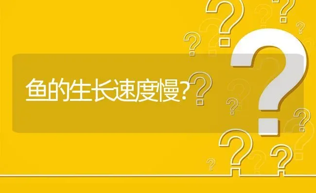 鱼的生长速度慢? | 养殖问题解答