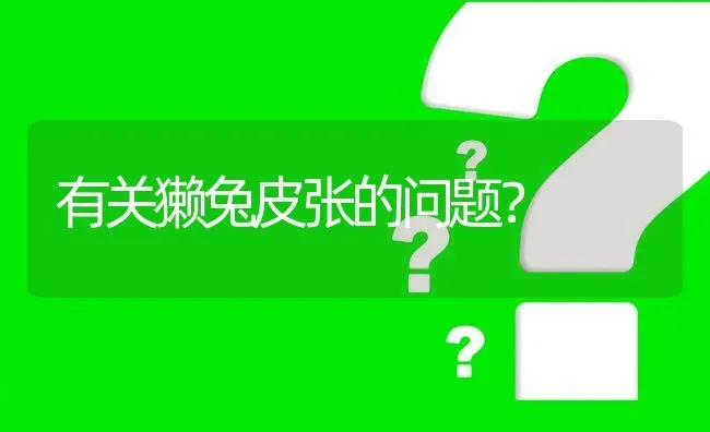 有关獭兔皮张的问题? | 养殖问题解答