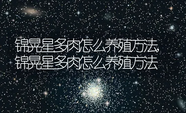 锦晃星多肉怎么养殖方法,锦晃星多肉怎么养殖方法 | 养殖常见问题