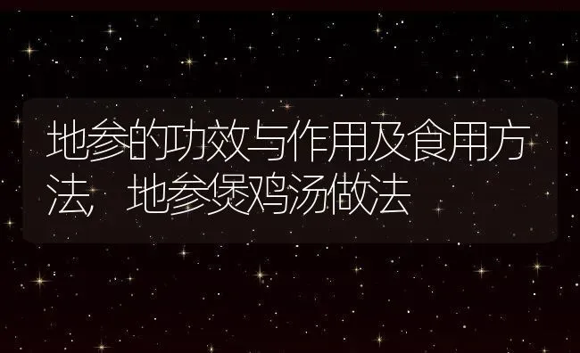 地参的功效与作用及食用方法,地参煲鸡汤做法 | 养殖常见问题