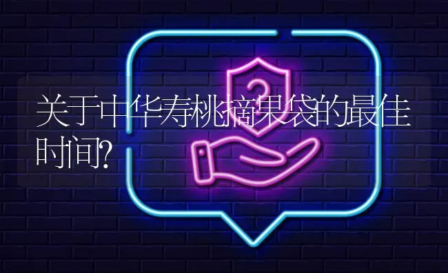 关于中华寿桃摘果袋的最佳时间? | 养殖问题解答
