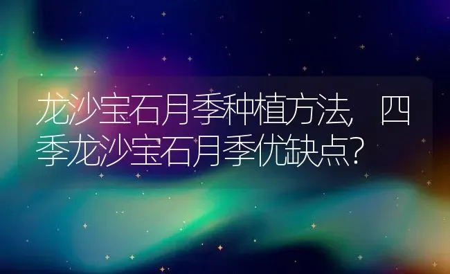 龙沙宝石月季种植方法,四季龙沙宝石月季优缺点？ | 养殖常见问题