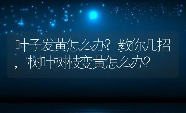 叶子发黄怎么办?教你几招,树叶树枝变黄怎么办？ | 养殖常见问题