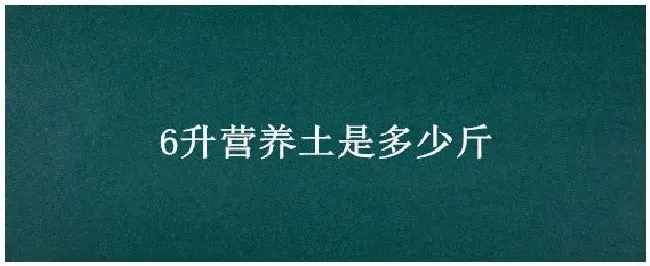 6升营养土是多少斤 | 农业答疑