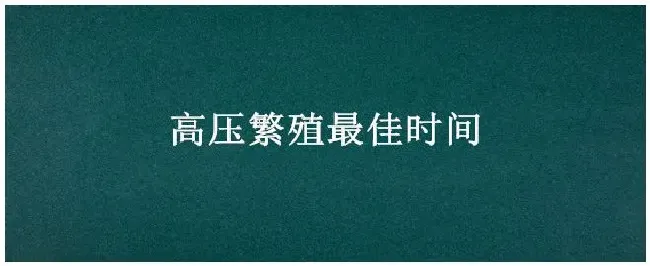 高压繁殖最佳时间 | 科普知识