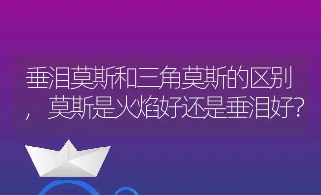 垂泪莫斯和三角莫斯的区别,莫斯是火焰好还是垂泪好？ | 养殖常见问题