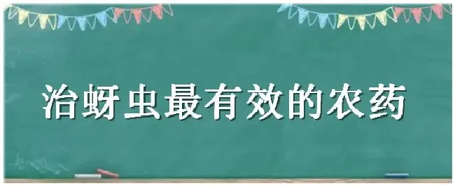 治蚜虫最有效的农药 | 农业问题