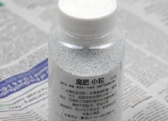 植物常识问题|室内养花用什么肥料花开不断